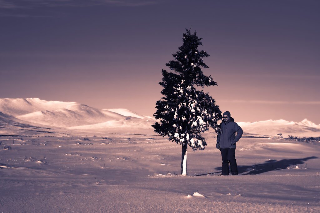 Photo Credit: Bradley Larrison on Pentax K-1 smc PENTAX-FA 77mm F1.8 Limited
A lone tree sits off Glacier Creek Road outside of Nome, AK.